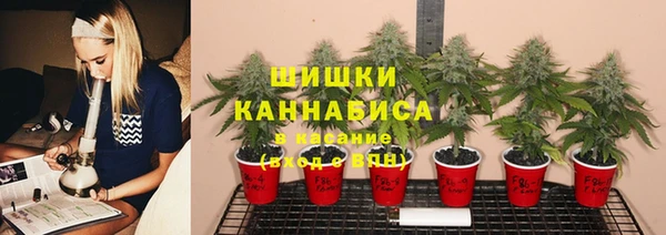 кокс Иннополис