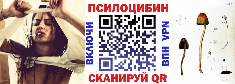 Купить закладки  Нерехта  Псилоцибиновые грибы MAGIC MUSHROOMS 